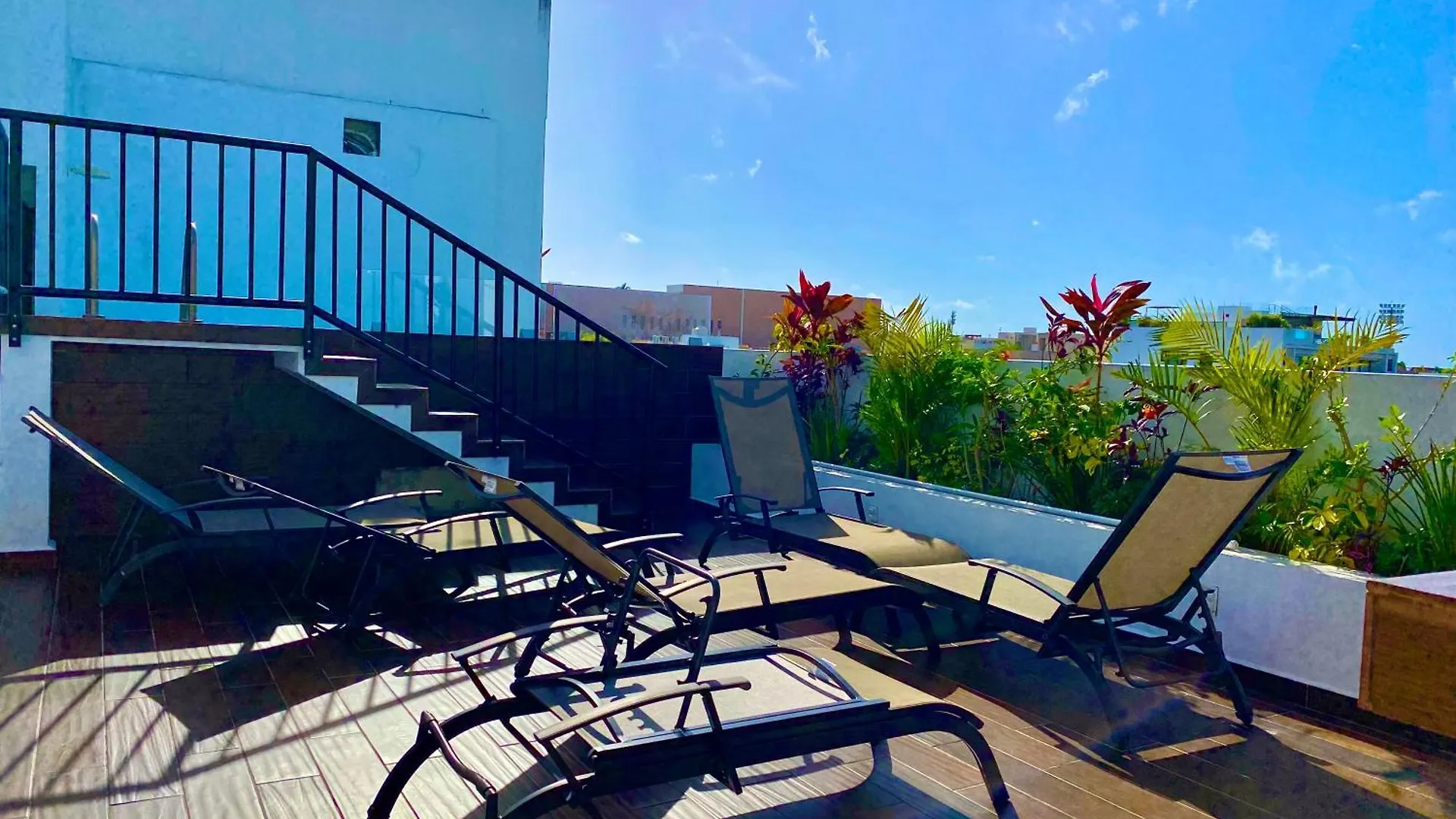 Apartmán Ceiba By Andiani Travel Playa del Carmen